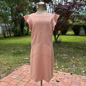NWT Ann Taylor Blush Cap Sleeve Dress
